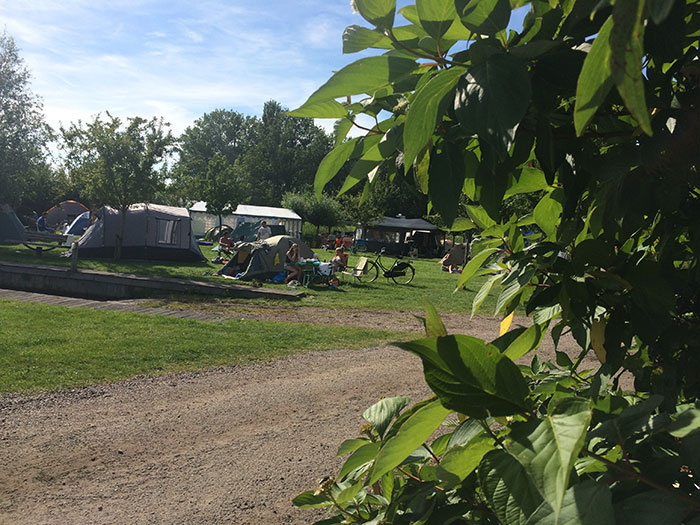 Sneekweek jongerenveld